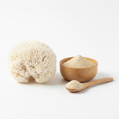 Lví hříva (Lion's Mane Mushroom)